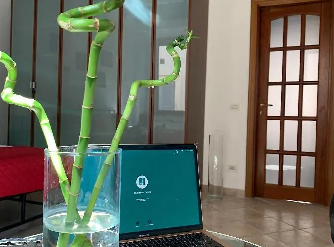 Mc - Trastevere * Roma